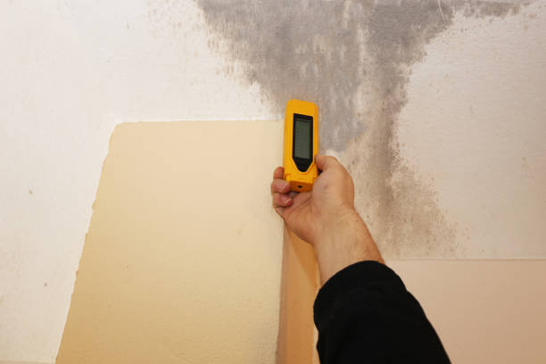 Best Biohazard Mold Removal  in Newberry, MI
