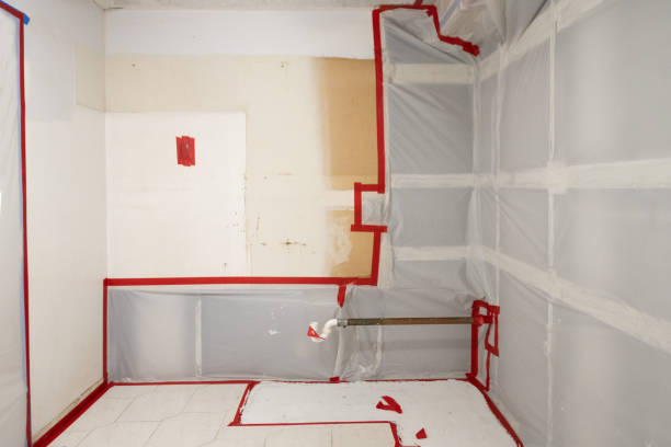 Best Mold Odor Removal Services  in Newberry, MI