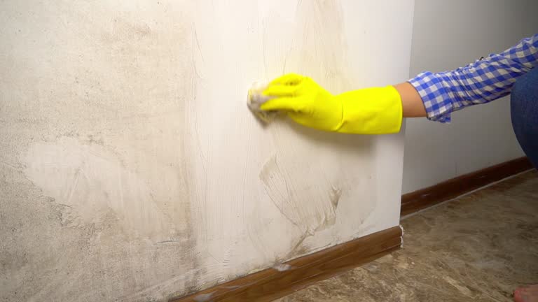 Best Comprehensive Air Testing for Mold Contaminants  in Newberry, MI