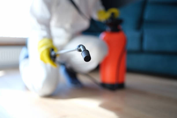 Best Air Quality Testing for Mold Spores  in Newberry, MI
