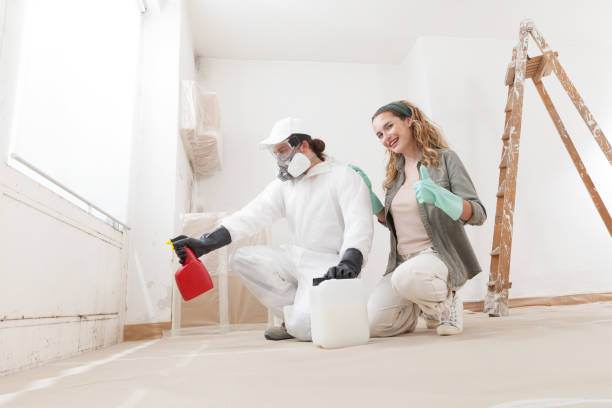 Best Indoor Air Quality Assessment  in Newberry, MI