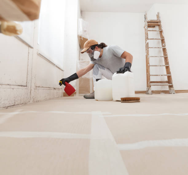 Best Attic Mold Removal  in Newberry, MI